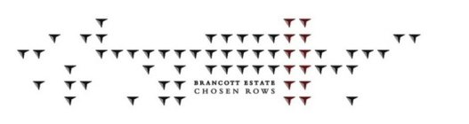 BRANCOTT ESTATE CHOSEN ROWS