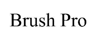 BRUSH PRO