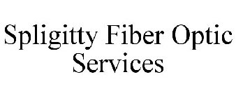 SPLIGITTY FIBER OPTIC SERVICES