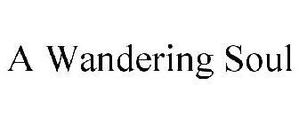 A WANDERING SOUL