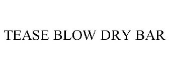 TEASE BLOW DRY BAR