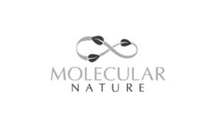 MOLECULAR NATURE