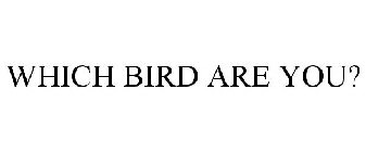 WHICH BIRD ARE YOU?