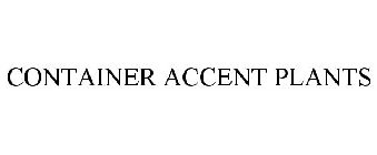 CONTAINER ACCENT PLANTS