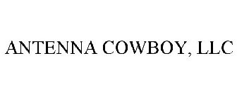 ANTENNA COWBOY