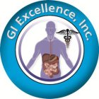 GI EXCELLENCE, INC.