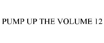 PUMP UP THE VOLUME 12