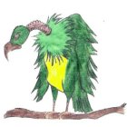 Image Trademark