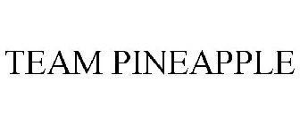 TEAM PINEAPPLE