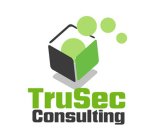 TRUSEC CONSULTING