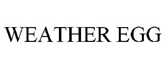 WEATHER EGG