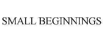 SMALL BEGINNINGS