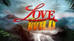 LOVE IN THE WILD