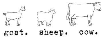 GOAT. SHEEP. COW.