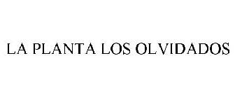 LA PLANTA LOS OLVIDADOS