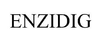 ENZIDIG