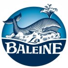 LA BALEINE