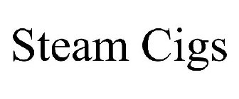 STEAM CIGS