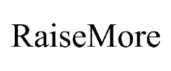 RAISE MORE