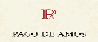 PA PAGO DE AMOS