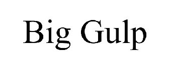 BIG GULP