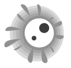 Image Trademark