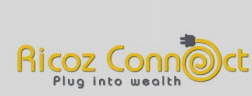RICOZ CONNECT PLUG INTO WEALTH