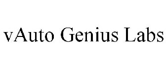 V AUTO GENIUS LABS