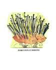 PORCUPIN-CUSHIONS