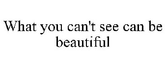 WHAT YOU CAN'T SEE CAN BE BEAUTIFUL