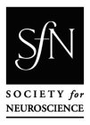 SFN SOCIETY FOR NEUROSCIENCE