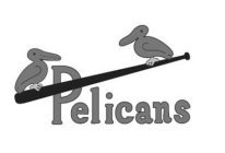 PELICANS