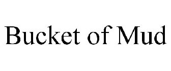 BUCKET OF MUD