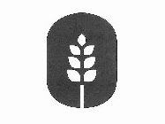Image Trademark