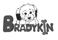 BRADYKIN