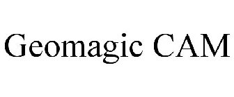 GEOMAGIC CAM