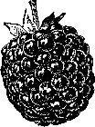 Image Trademark