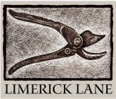 LIMERICK LANE