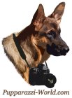 PUPPARAZZI-WORLD.COM