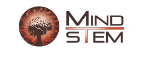 MINDSTEM