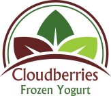 CLOUDBERRIES FROZEN YOGURT