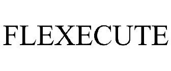 FLEXECUTE