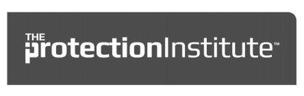 THE PROTECTION INSTITUTE