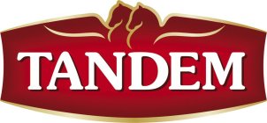 TANDEM