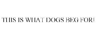 THIS IS WHAT DOGS BEG FOR!