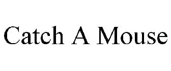CATCH A MOUSE