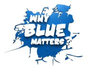 WHY BLUE MATTERS?