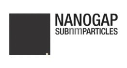 NANOGAP SUBNMPARTICLES