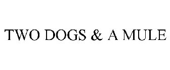 TWO DOGS & A MULE