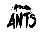 ANTS